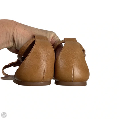 Shoes Designer By Tory Burch In Brown, Size: 10